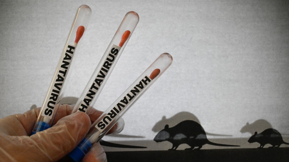 Hantavirus