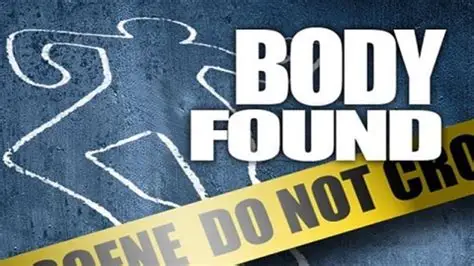 Body