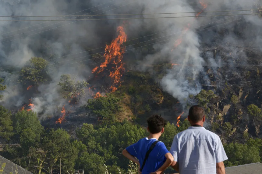 Wildfire